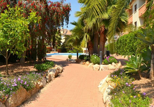 Apartment in Javea - Apartamento Benvinguts Javea - 5021