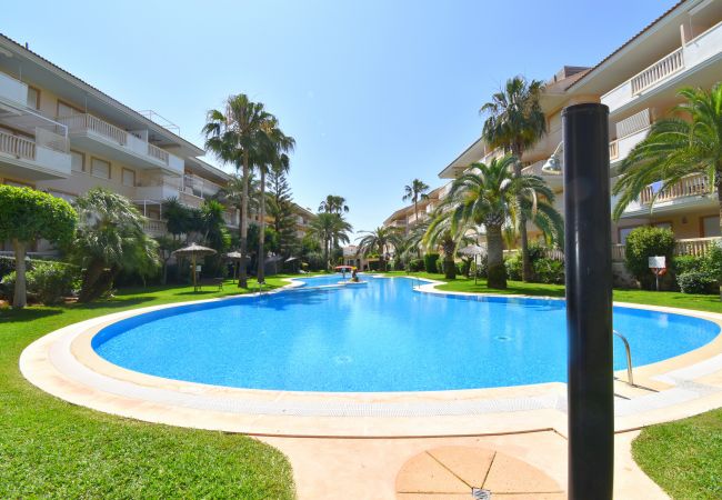 Apartment in Javea - Apartamento Nou Fontana Javea - 5063