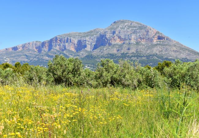 Apartment in Javea - Apartamento Nou Fontana Javea - 5006