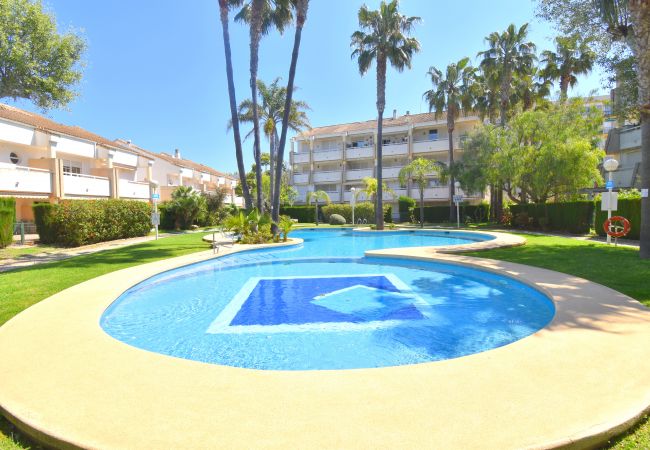 Apartment in Javea / Xàbia - Apartamento Jardines del Saladar Javea - 5038